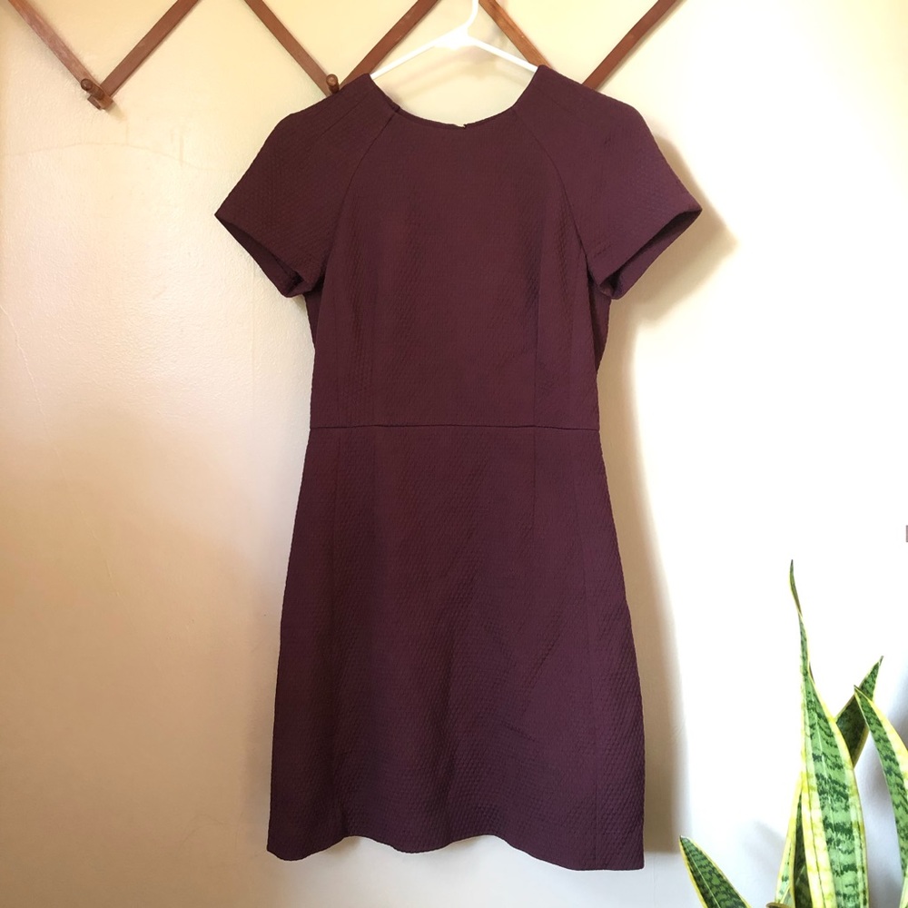 Beautiful textured dress ( banana republic)